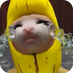 Cat Meme - Banana Series