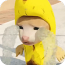 Banana Serie: Cat Meme APK