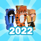 World Skin for Minecraft 2022 icône