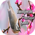 Buongiorno, buon pomeriggio e buonanotte immagini