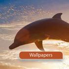 Dophin Wallpapers آئیکن