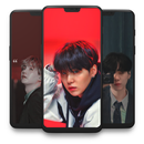 APK Suga Wallpaper HD 4K