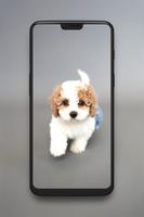 Dog Wallpaper HD poster