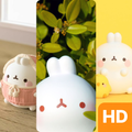 Molang 3D Cute Wallpaper HD