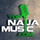 Naija Music App আইকন