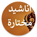 أناشيد إسلامية منوعة دون نت-APK