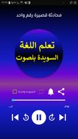 تعلم اللغة السويدية بسهولة poster