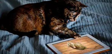 Mouse game toy for cats