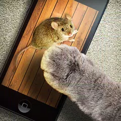 猫のためのマウスゲーム アプリダウンロード