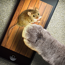 Jeu de souris pour chats APK