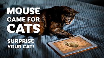 1 Schermata gioco del mouse per i gatti