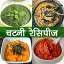 Chutney Recipe in Hindi APK