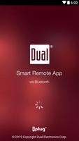 Dual iPlug M постер