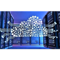 V_DBMS