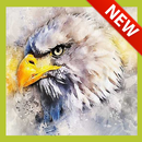 Imagenes de Aguilas APK