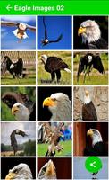 Eagle Images স্ক্রিনশট 2