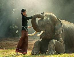 Elephant Pictures تصوير الشاشة 2