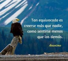 Frases Sabias para el diario vivir bài đăng
