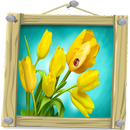 Imagenes de Tulipanes APK