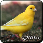 Kicau Burung Kenari MP3 icon