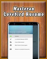 Masteran Lovebird Kusumo Offli 포스터