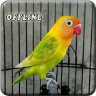 Masteran Lovebird Ngekek ícone