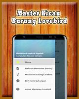 Masteran Lovebird Ngekek Cartaz