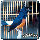 MP3 Murai Batu Offline icon