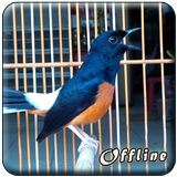 MP3 Murai Batu Offline biểu tượng