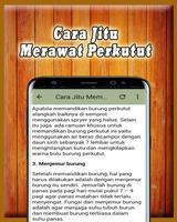 Perkutut Lokal Gacor Offline imagem de tela 2
