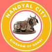Nandyal City - Food, Grocery, 