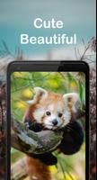 Wild Animal Wallpaper স্ক্রিনশট 1