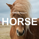 NAND Horse - Fond d'écran Beautiful Horses icône