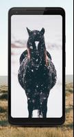 NAND Horse - Fond d'écran Beautiful Horses capture d'écran 1