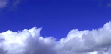 Момундар бакчасы