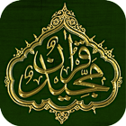 The Holy Quran - Arabic icône