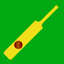 Pocket Cricket - Simple Cricket Game APK