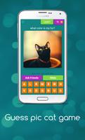 Guess Cute Cat Game screenshot 3