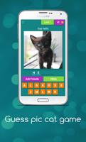 Guess Cute Cat Game plakat