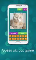 Guess Cute Cat Game screenshot 2