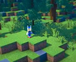 Sonicraft The Hedgehog Mod capture d'écran 1