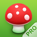 Pilze 123 APK