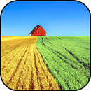 Papéis de parede de agricultura APK