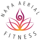Napa Aerial Fitness আইকন