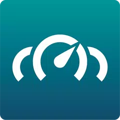 RealDash APK 下載