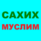 Icona САХИХ МУСЛИМ