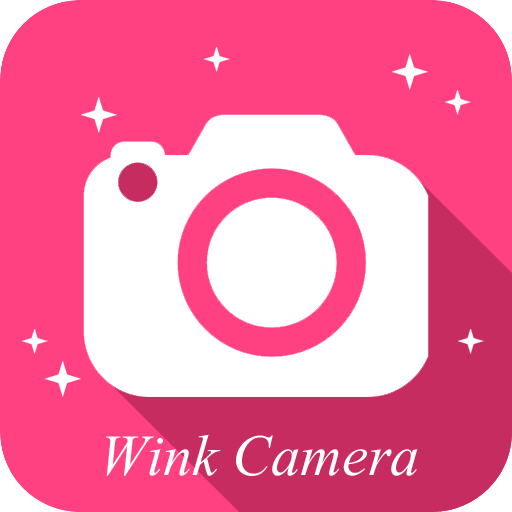 Wink Telecamera