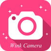 Wink Camera 카메라