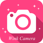 Wink máy ảnh biểu tượng