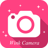 Wink máy ảnh biểu tượng